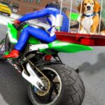 Livrare motociclete cu animale de companie